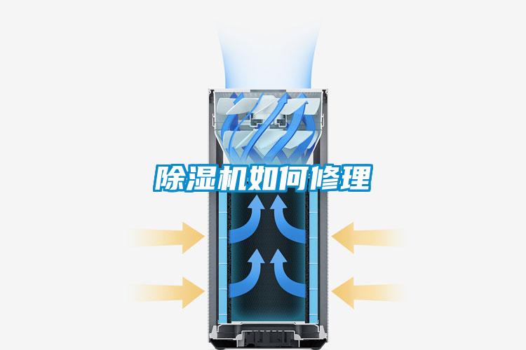 好色先生污污版如何修理