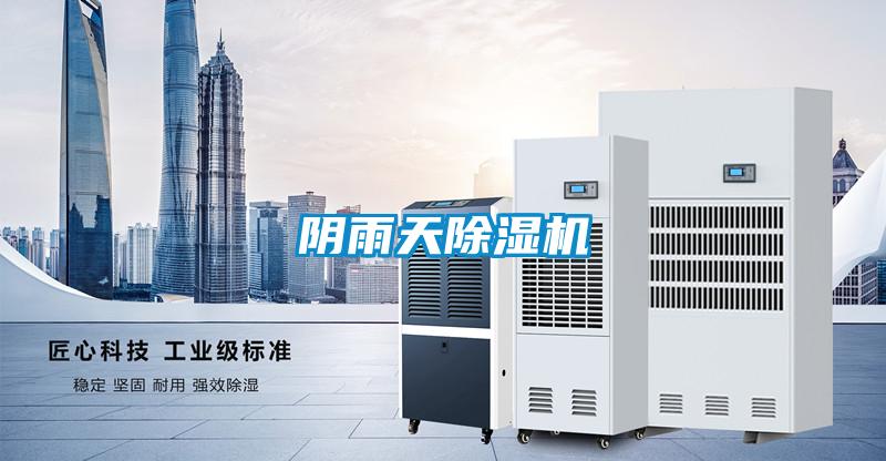 阴雨天好色先生污污版