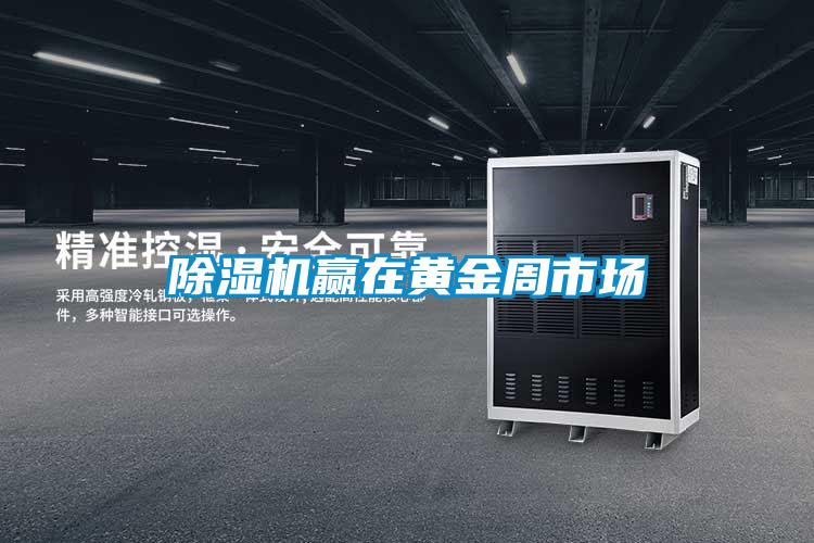 好色先生污污版赢在黄金周市场