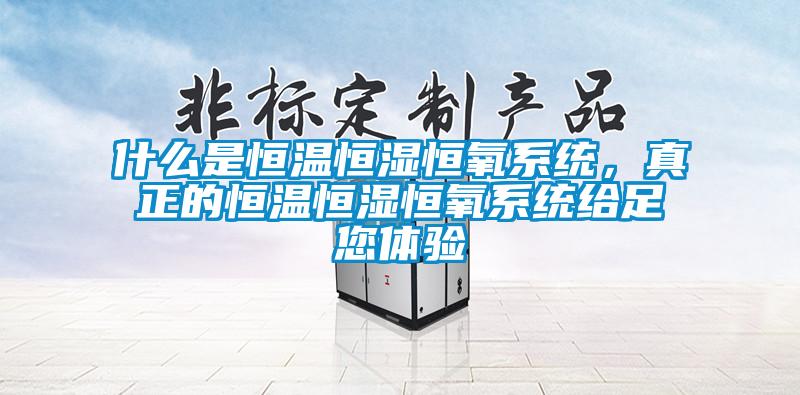 什么是恒温恒湿恒氧系统，真正的恒温恒湿恒氧系统给足您体验