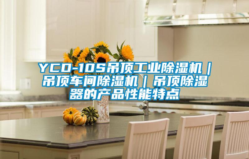 YCD-10S吊顶工业好色先生污污版｜吊顶车间好色先生污污版｜吊顶除湿器的产品性能特点