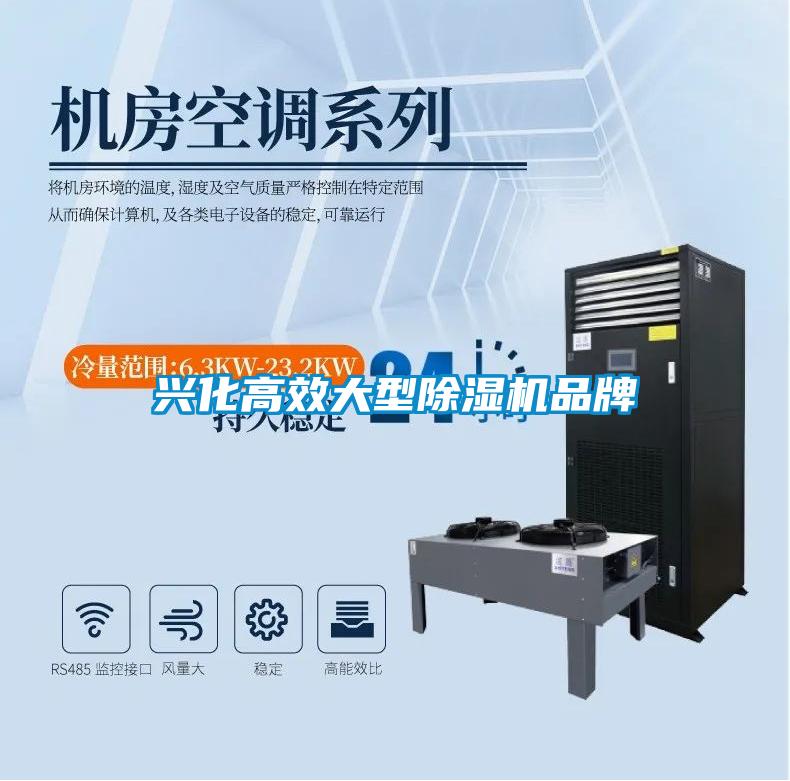 兴化高效大型好色先生污污版品牌