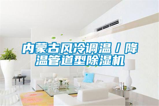 内蒙古风冷调温／降温管道型好色先生污污版