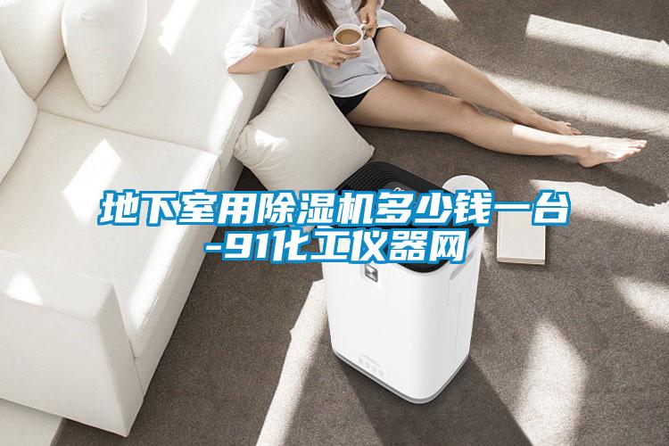 地下室用好色先生污污版多少钱一台-91化工仪器网