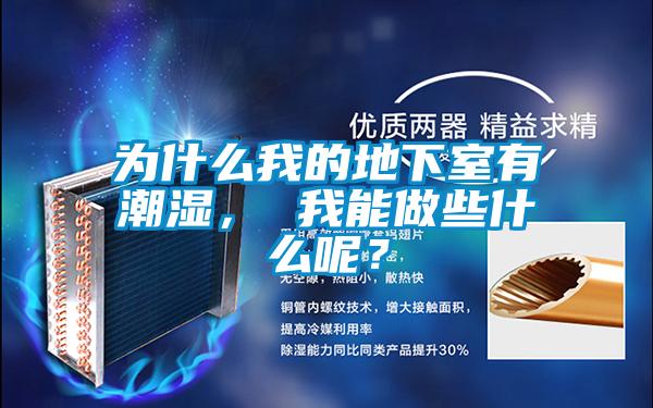 为什么我的地下室有潮湿， 我能做些什么呢？