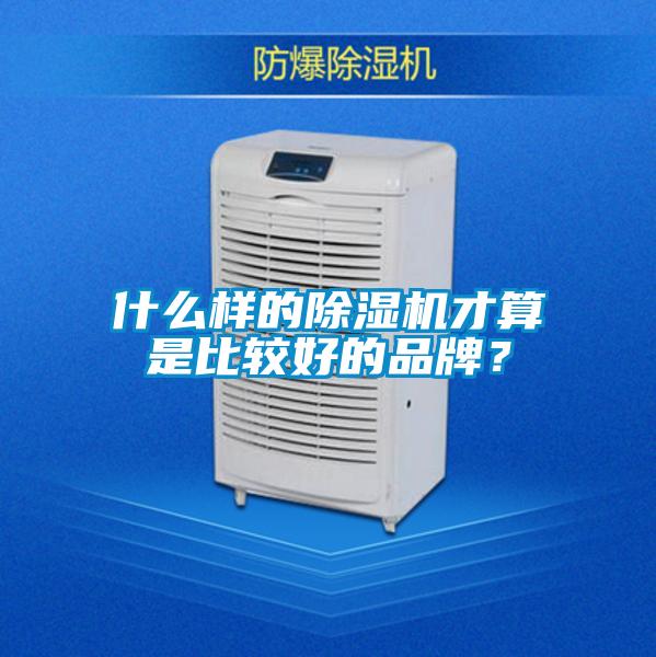 什么样的好色先生污污版才算是比较好的品牌？