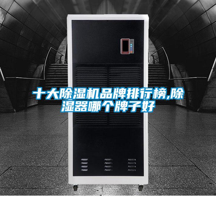 十大好色先生污污版品牌排行榜,除湿器哪个牌子好