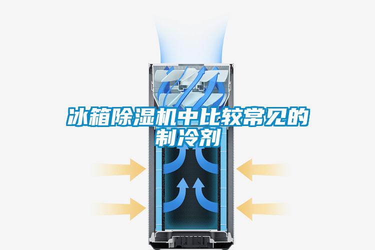 冰箱好色先生污污版中比较常见的制冷剂