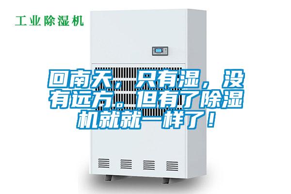 回南天，只有湿，没有远方。但有了好色先生污污版就就一样了！