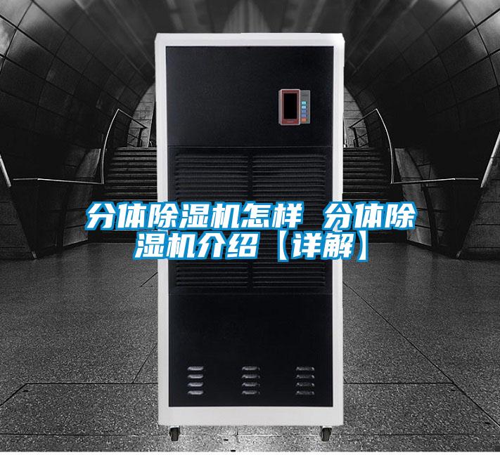 分体好色先生污污版怎样 分体好色先生污污版介绍【详解】