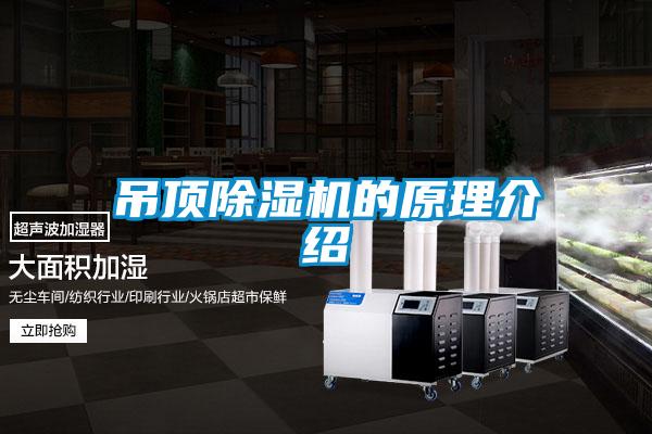 吊顶好色先生污污版的原理介绍