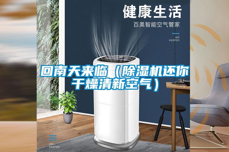 回南天来临（好色先生污污版还你干燥清新空气）