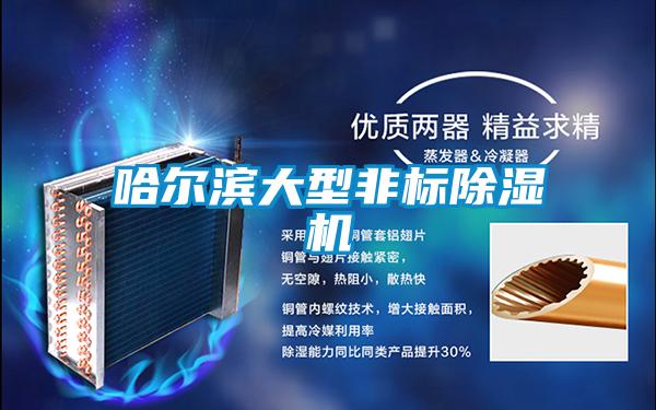 哈尔滨大型非标好色先生污污版