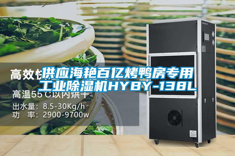 供应海艳百亿烤鸭房专用工业好色先生污污版HYBY-138L