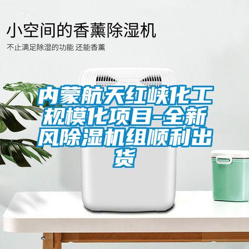 内蒙航天红峡化工规模化项目-全新风好色先生污污版组顺利出货