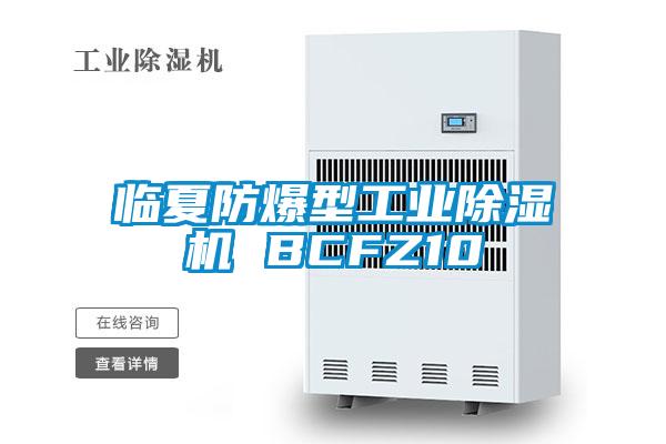 临夏防爆型工业好色先生污污版 BCFZ10