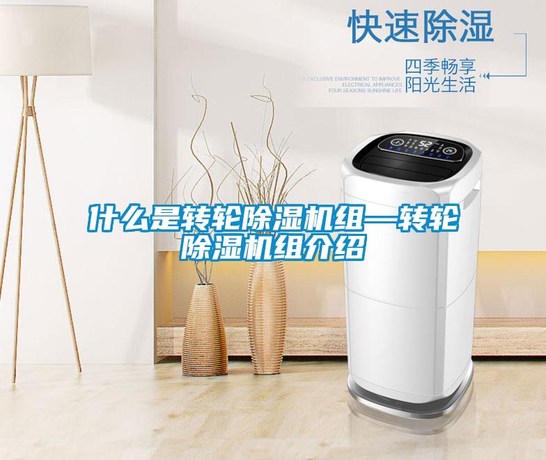 什么是转轮好色先生污污版组—转轮好色先生污污版组介绍