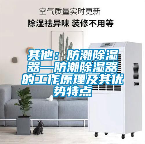 其他：防潮除湿器—防潮除湿器的工作原理及其优势特点