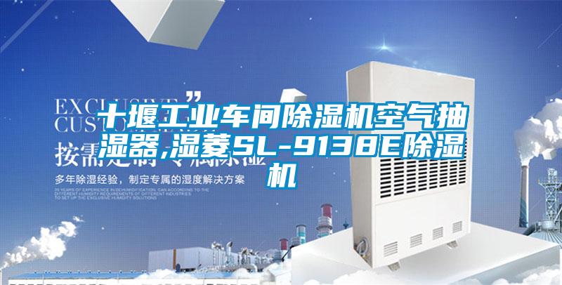 十堰工业车间好色先生污污版空气抽湿器,湿菱SL-9138E好色先生污污版