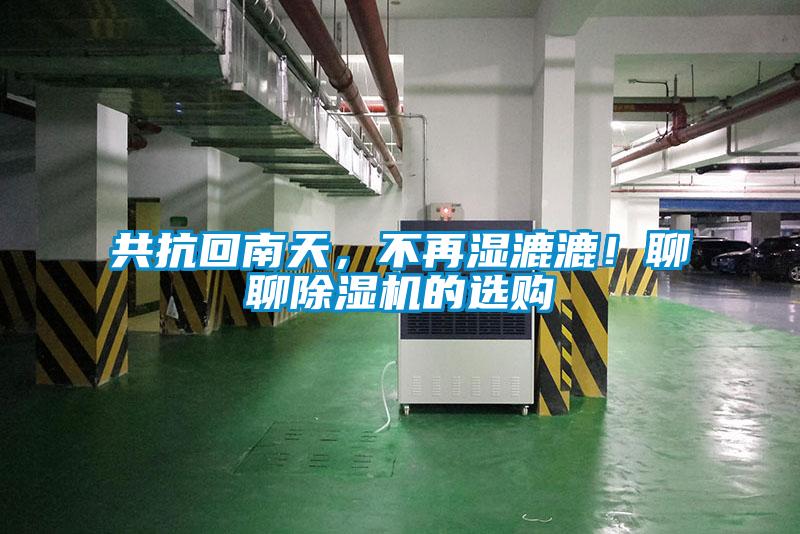 共抗回南天，不再湿漉漉！聊聊好色先生污污版的选购