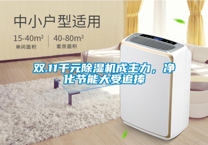 双.11千元好色先生污污版成主力，净化节能大受追捧