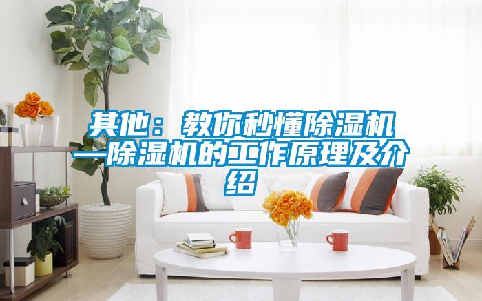 其他：教你秒懂好色先生污污版—好色先生污污版的工作原理及介绍