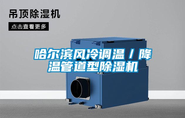 哈尔滨风冷调温/降温管道型好色先生污污版