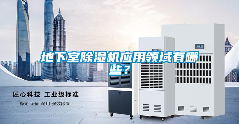 地下室好色先生污污版应用领域有哪些？