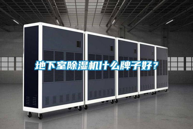 地下室好色先生污污版什么牌子好？