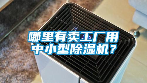 哪里有卖工厂用中小型好色先生污污版？