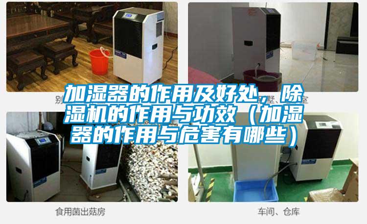 加湿器的作用及好处，好色先生污污版的作用与功效（加湿器的作用与危害有哪些）