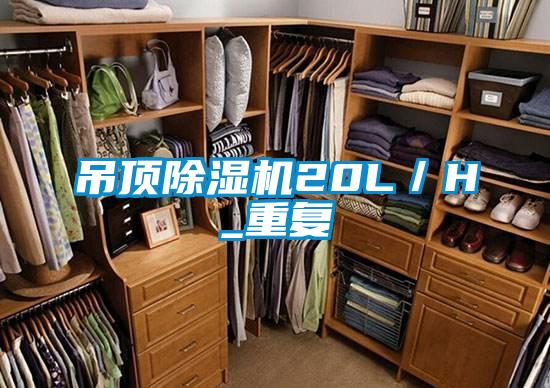 吊顶好色先生污污版20L／H_重复