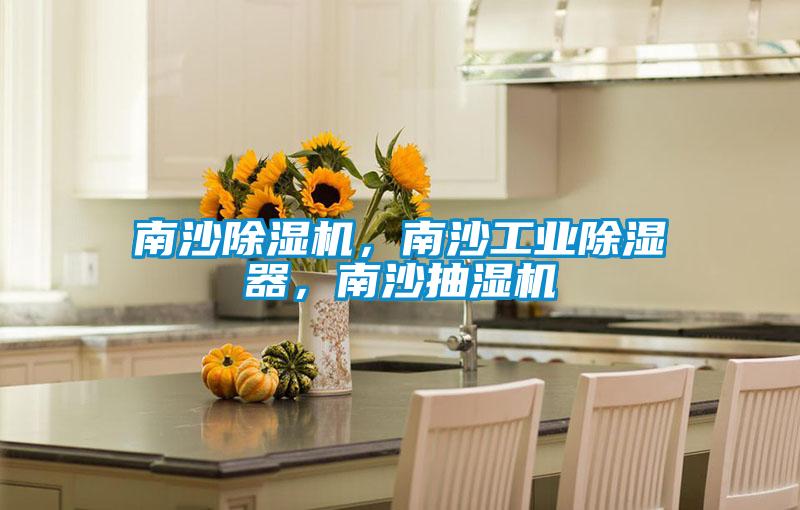 南沙好色先生污污版，南沙工业除湿器，南沙抽湿机