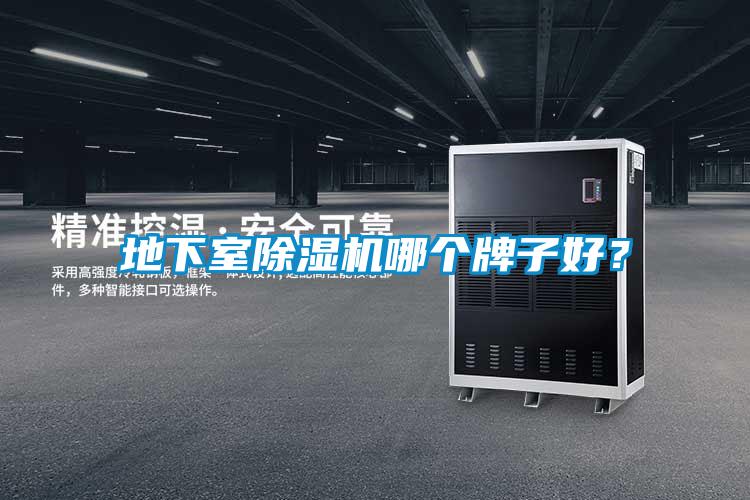 地下室好色先生污污版哪个牌子好？