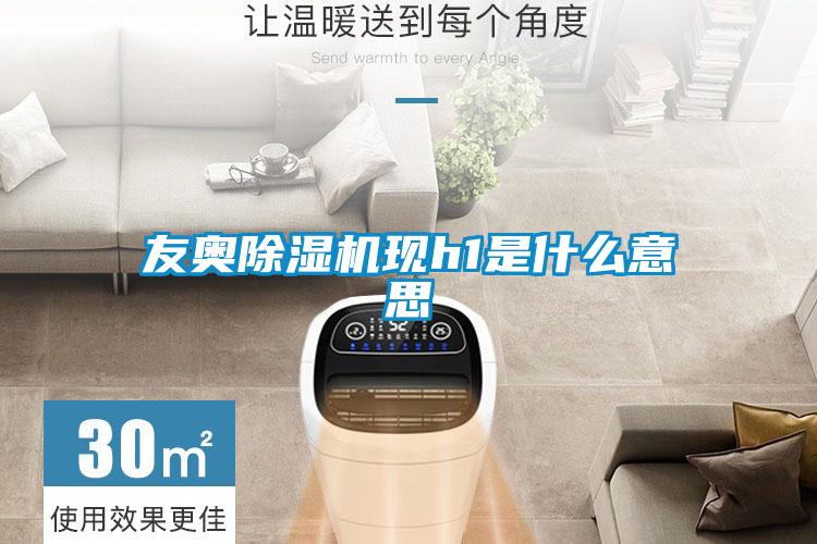 友奥好色先生污污版现h1是什么意思