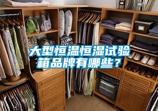大型恒温恒湿试验箱品牌有哪些？