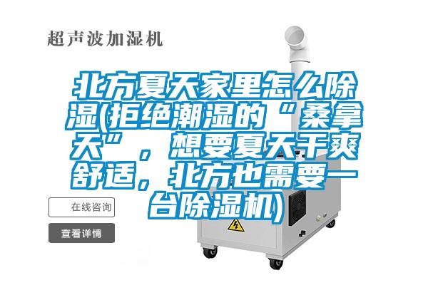 北方夏天家里怎么除湿(拒绝潮湿的“桑拿天”，想要夏天干爽舒适，北方也需要一台好色先生污污版)
