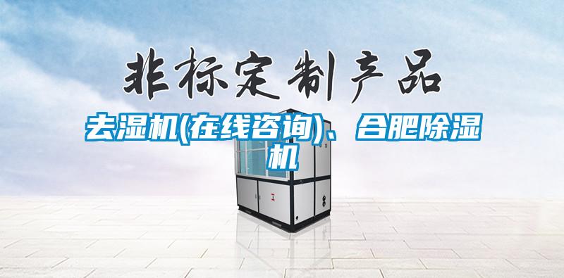 去湿机(在线咨询)、合肥好色先生污污版