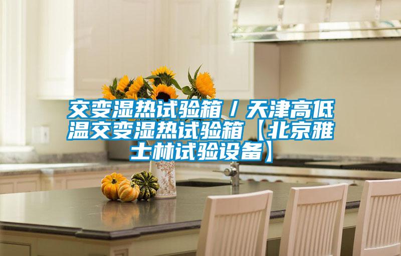 交变湿热试验箱/天津高低温交变湿热试验箱【北京雅士林试验设备】