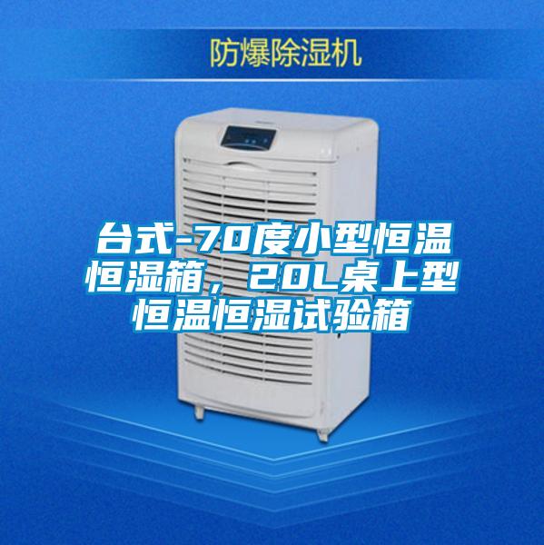 台式-70度小型恒温恒湿箱，20L桌上型恒温恒湿试验箱