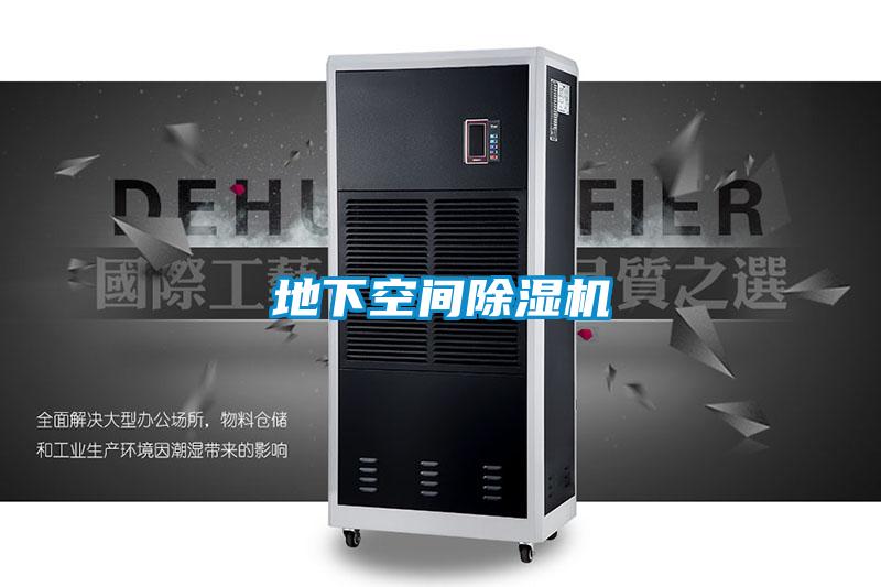 地下空间好色先生污污版