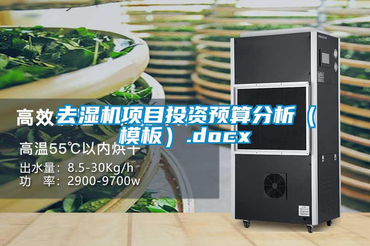 去湿机项目投资预算分析(模板).docx