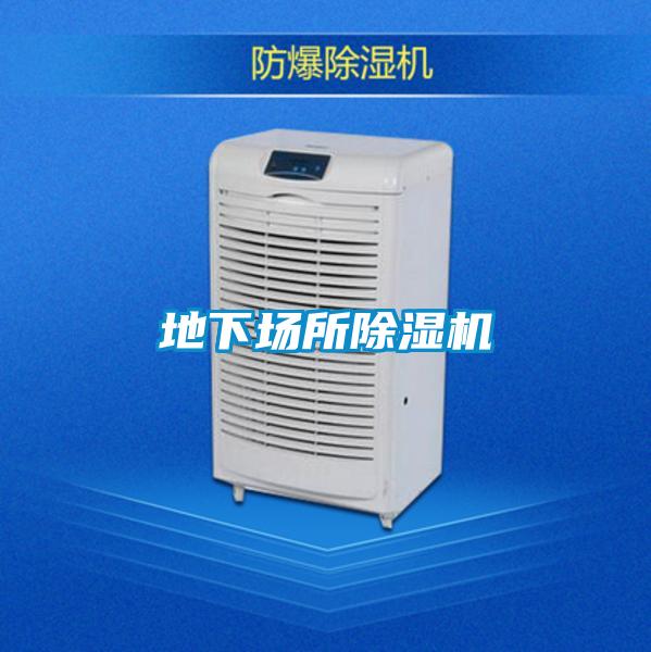 地下场所好色先生污污版