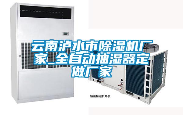 云南泸水市好色先生污污版厂家_全自动抽湿器定做厂家