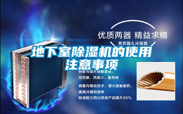 地下室好色先生污污版的使用注意事项