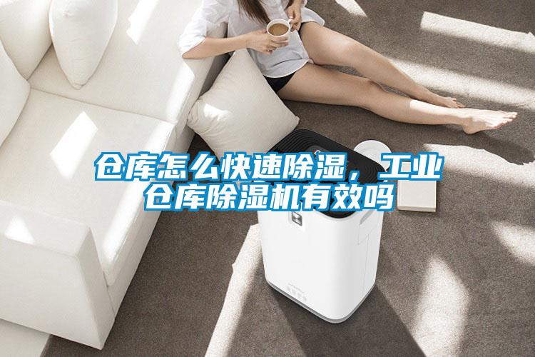 仓库怎么快速除湿，工业仓库好色先生污污版有效吗