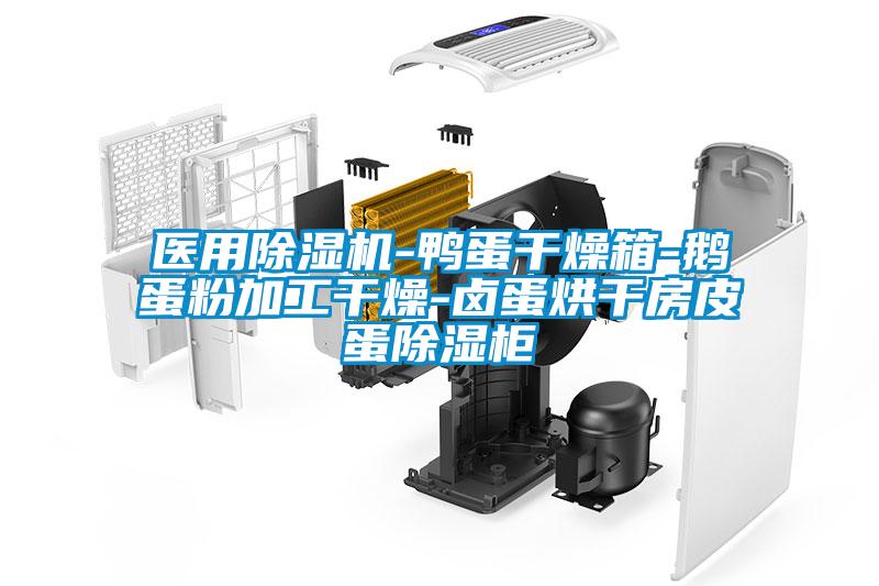 医用好色先生污污版-鸭蛋干燥箱-鹅蛋粉加工干燥-卤蛋烘干房皮蛋除湿柜