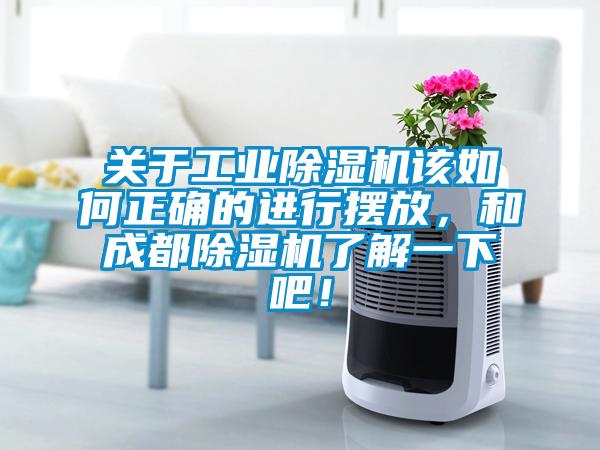 关于工业好色先生污污版该如何正确的进行摆放，和成都好色先生污污版了解一下吧！