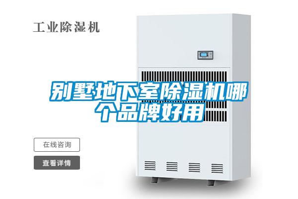 别墅地下室好色先生污污版哪个品牌好用