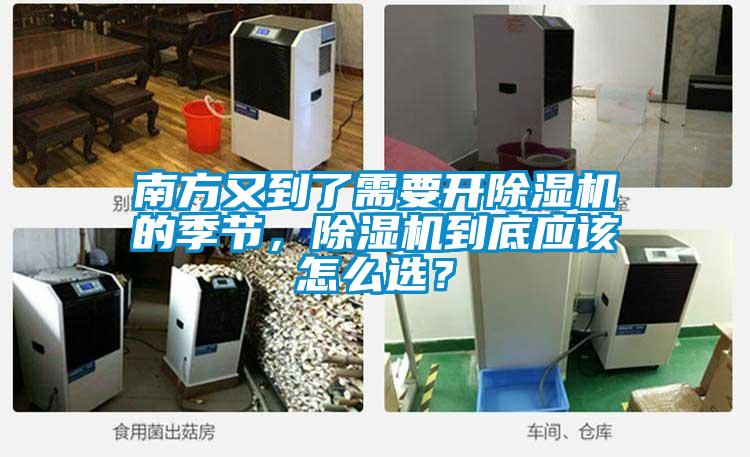 南方又到了需要开好色先生污污版的季节，好色先生污污版到底应该怎么选？